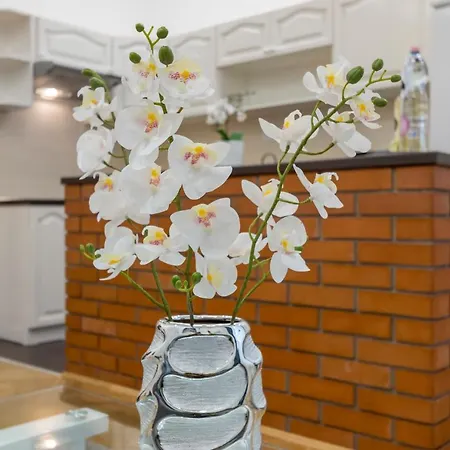 Apartment Diamond - Castle Matray *