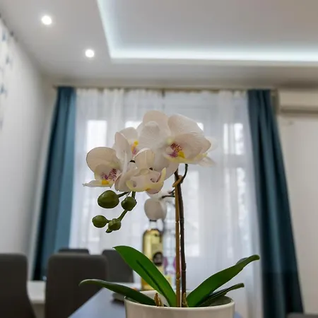 Diamond - Castle Matray Apartment